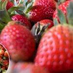 IMG_20221227_204442_665