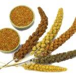 international year of millets, international year of millets 2023, international year of millets 2023 theme benefits of millets. News potli