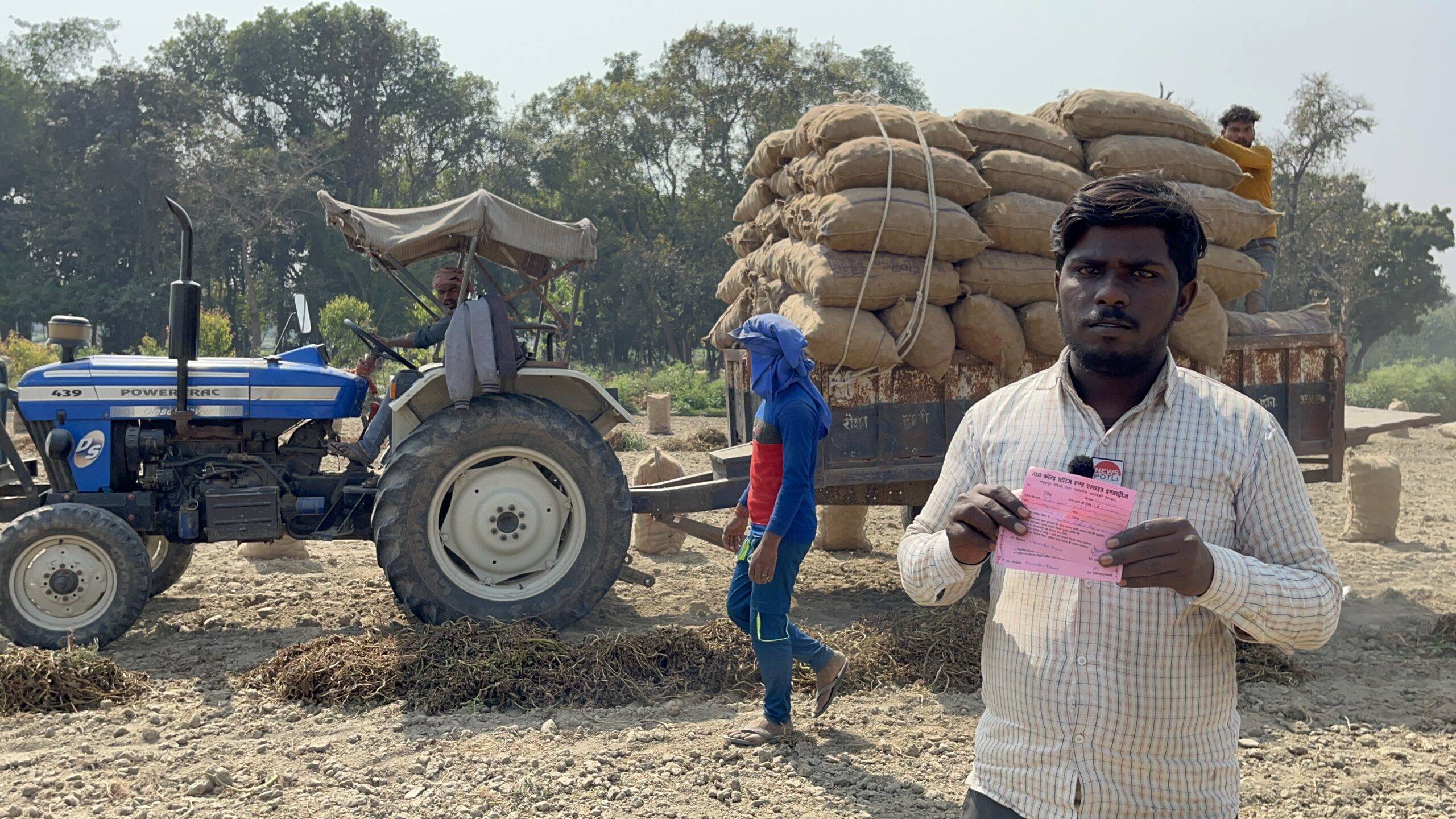 News potli potato prices potato rate