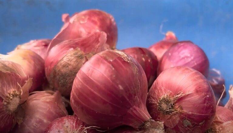 onion 2 - News Potli