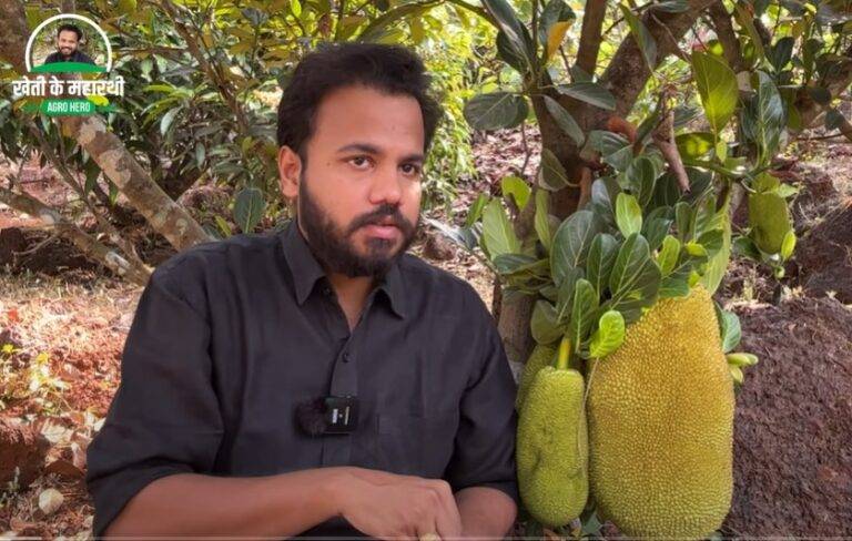 jackfruit farmer mithilesh desai - News Potli