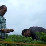 Mahadev Patel and his younger brother inspecting his vegetable farm