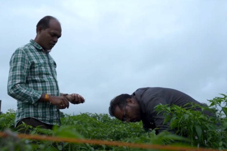 Mahadev Patel and his younger brother inspecting his vegetable farm