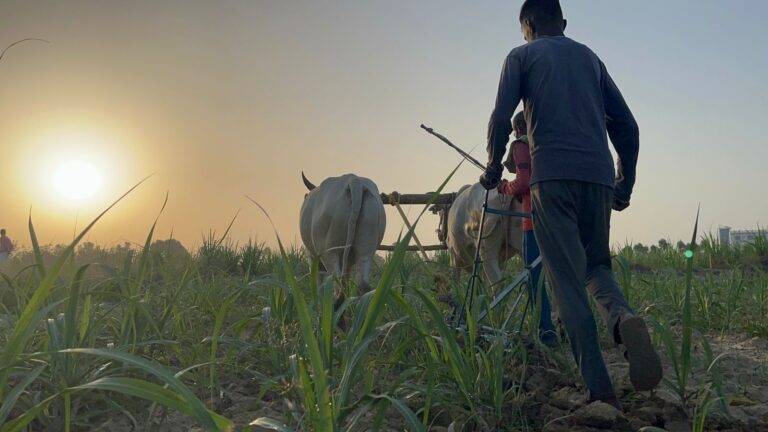 update 1 - News Potli