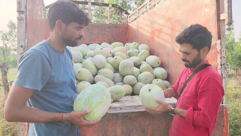 petha photo - News Potli