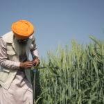 पंजाबए किसान, कर्ज माफी, तेलंगाना, telanagan farmers loan, punjab