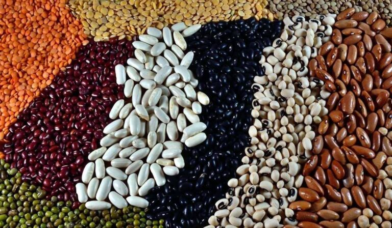 pulse, pulses price may down, monsoon