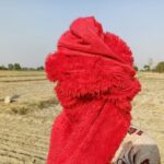 उत्तर-पश्चिम भारत के कई हिस्से में 10 मई को तेज हवाओं के साथ बारिश हो सकती है।