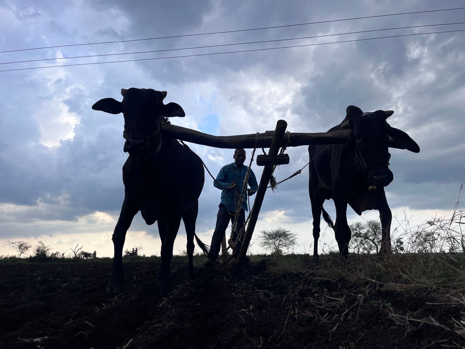 बजट, महाराष्‍ट्र सरकार, क‍िसान