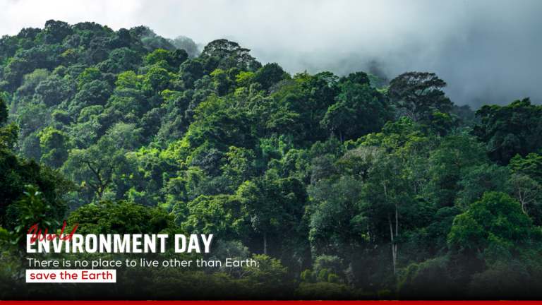 world envirnoment day - News Potli
