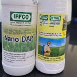 Iffco, nano