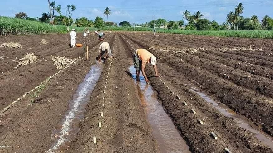 प्रधानमंत्री फसल बीमा योजना