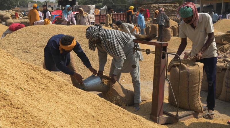 उत्‍तर प्रदेश, धान खरीद, MSP