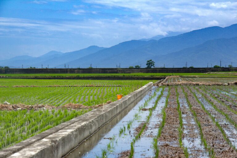 बार‍िश, मानसून, आईएमडी