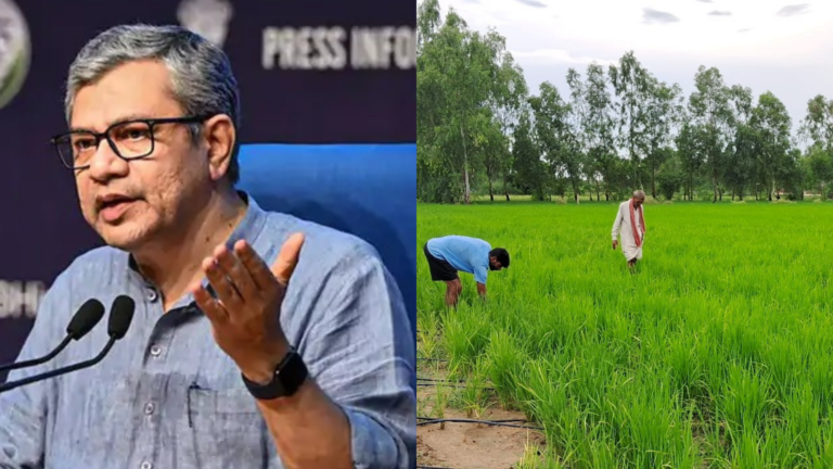 डिजिटल कृषि मिशन और बागवानी विकास समेत केंद्र सरकार का किसानों के लिए 7 बड़े ऐलान 1 - News Potli