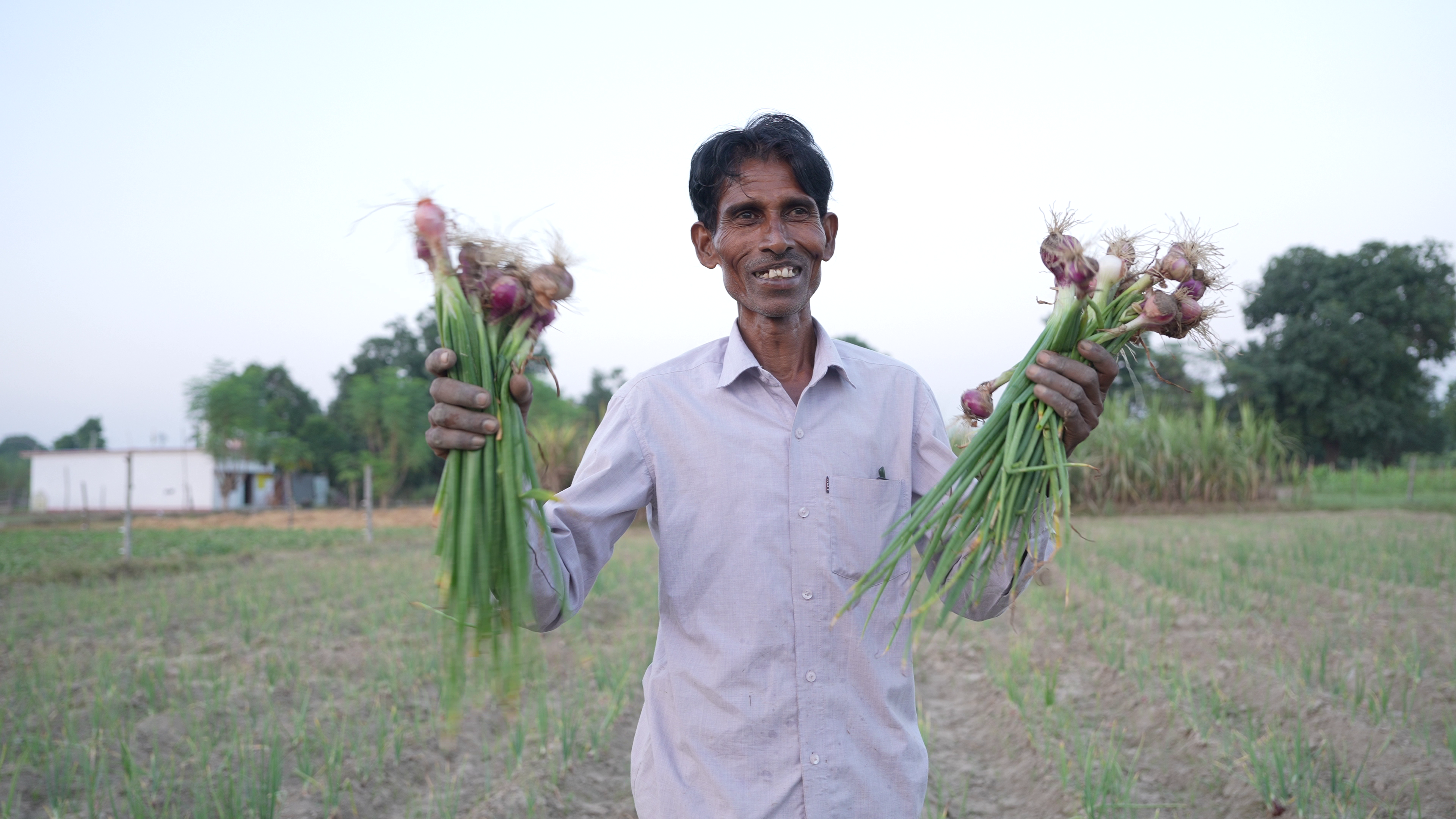 a small land holding farming of uttar pradesh ram pravesh