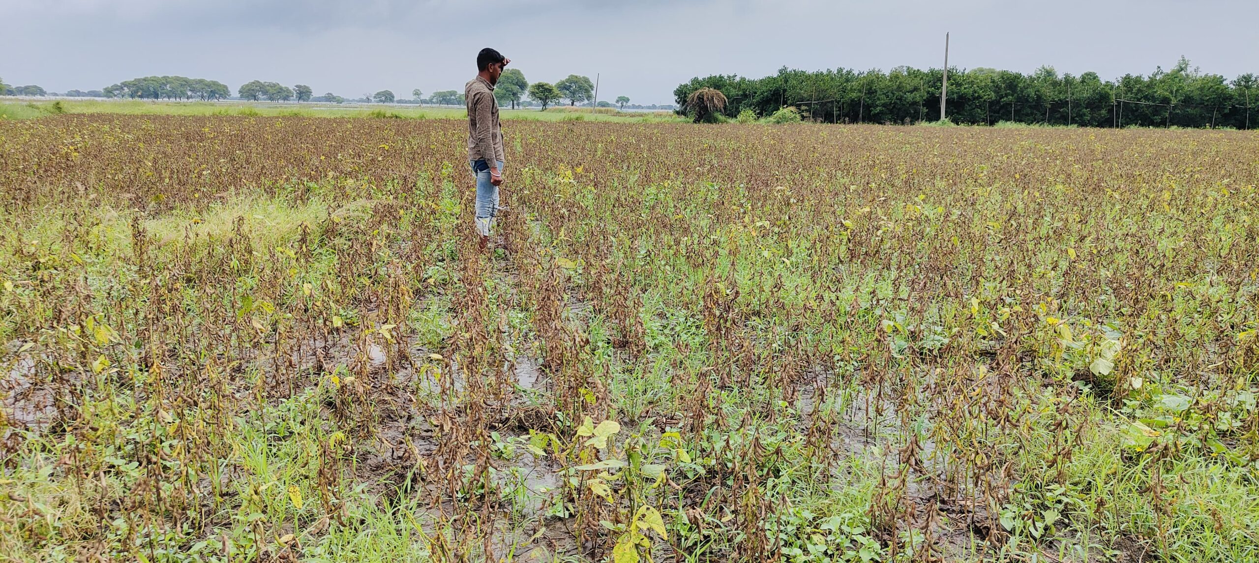 ADB की इस रिपोर्ट में एशिया-प्रशांत क्षेत्र के विकासशील देशों पर जलवायु परिवर्तन का गहरा प्रभाव पड़ने की बात कही गई है।