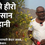 success story of pomegranate farmer nashik maharashtra