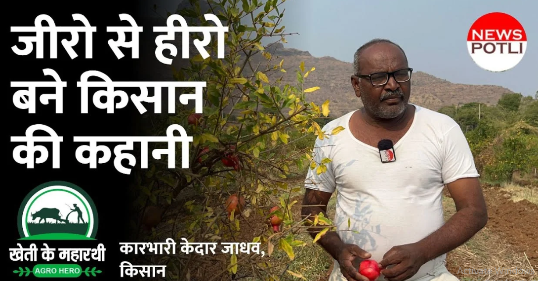 success story of pomegranate farmer nashik maharashtra