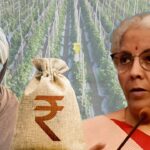 वित्त मंत्री नर्मला सीतारमण 1 फरवरी को मोदी सरकार के तीसरे कार्यकाल का दूसरा बजट पेश करेंगी। जहां एक तरफ टैक्सपेयर इस बार कर में रियायत की उम्मीद लगाए बैठे हैं