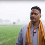 Mulching विधि से लहसुन की खेती, लाखों की कमाई…रतलाम के इस किसान से जानिए तरीक़ा लहसुन