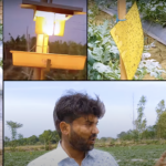 आईपीएम