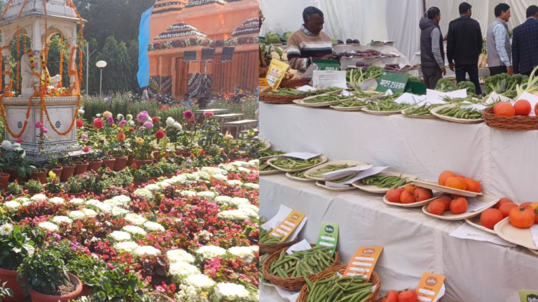 YT Thumb 3 - News Potli