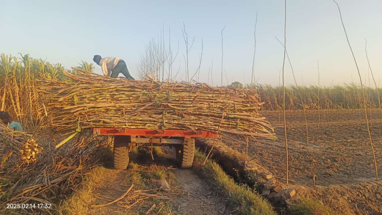 उत्तर प्रदेश