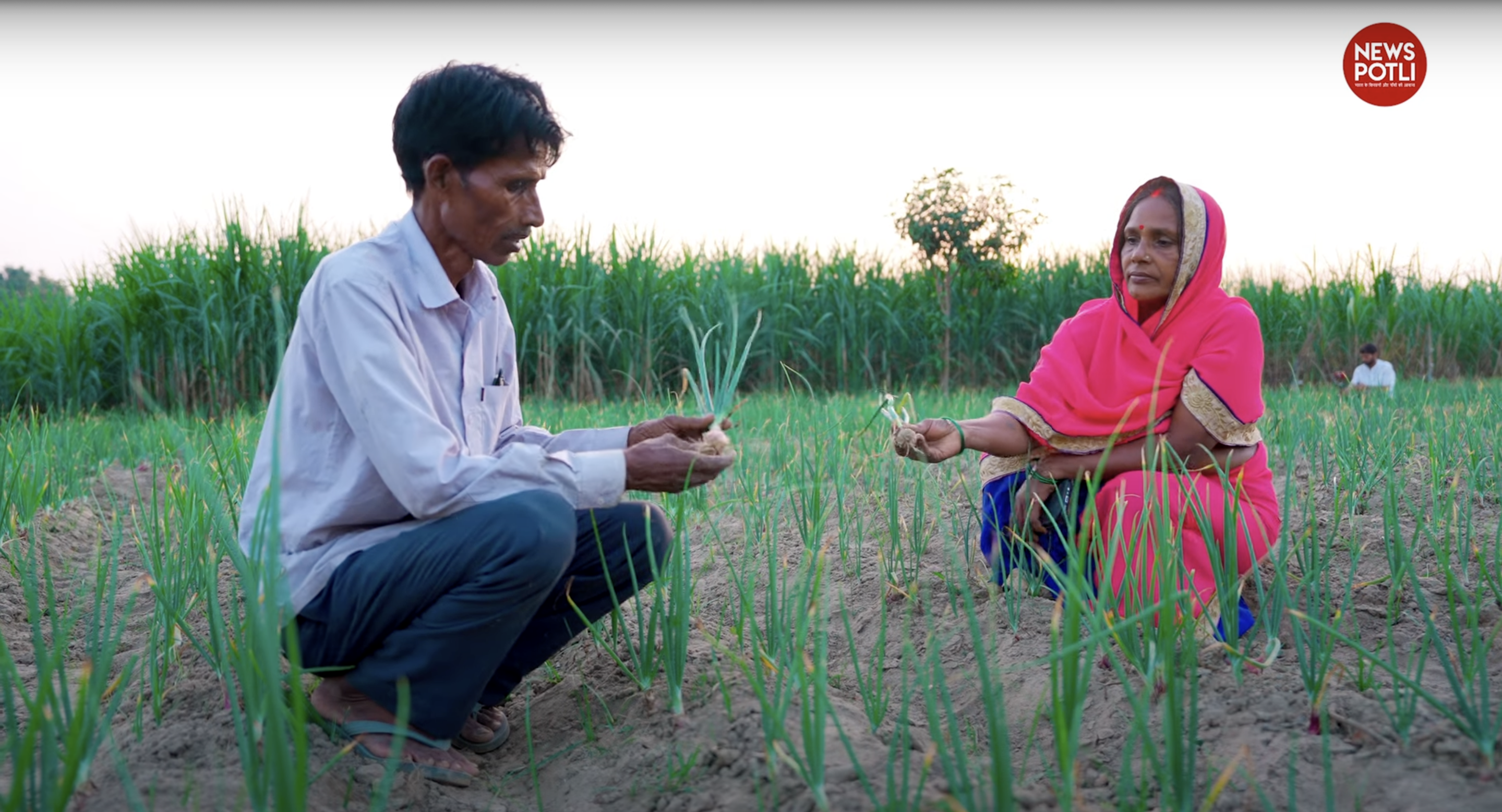 ONION FARMING