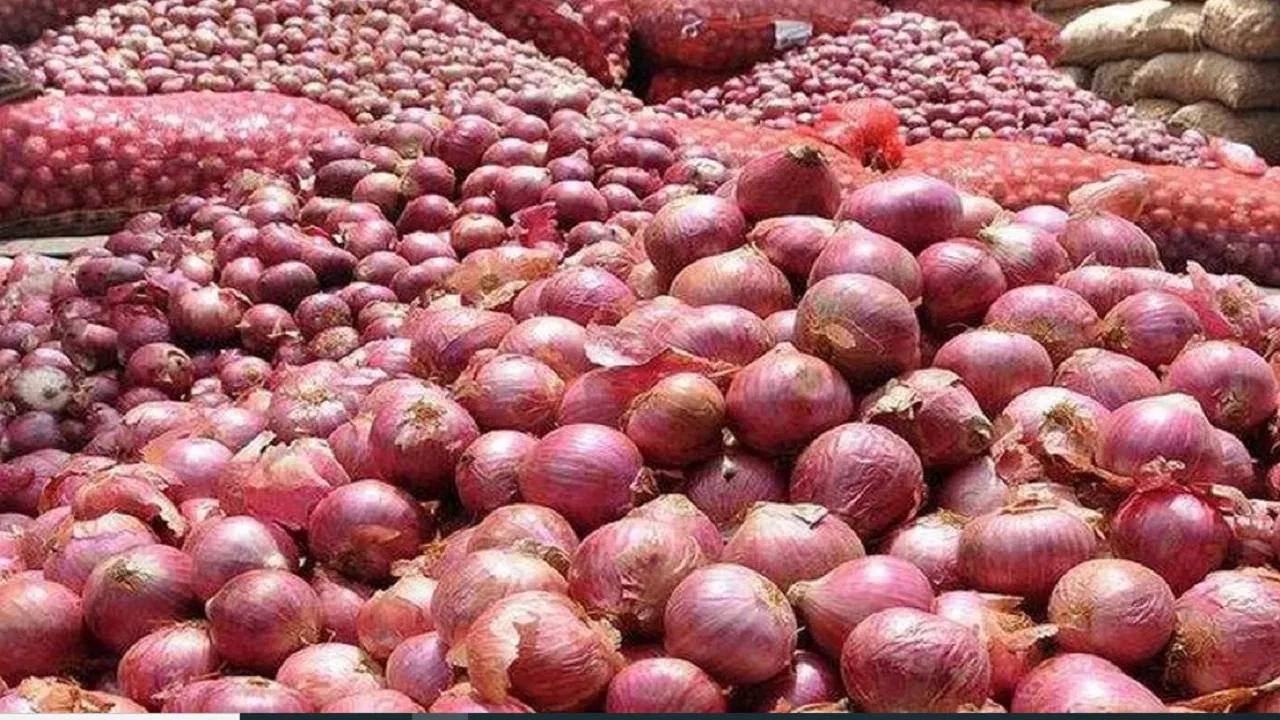 onion
