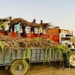 मुख्यमंत्री किसान कल्याण योजना