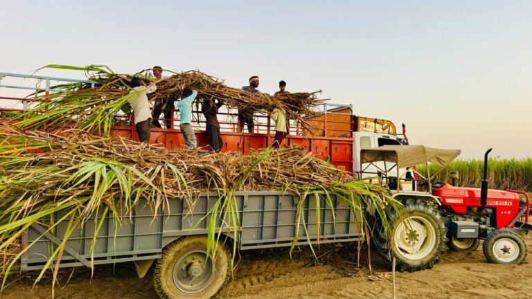 मुख्यमंत्री किसान कल्याण योजना