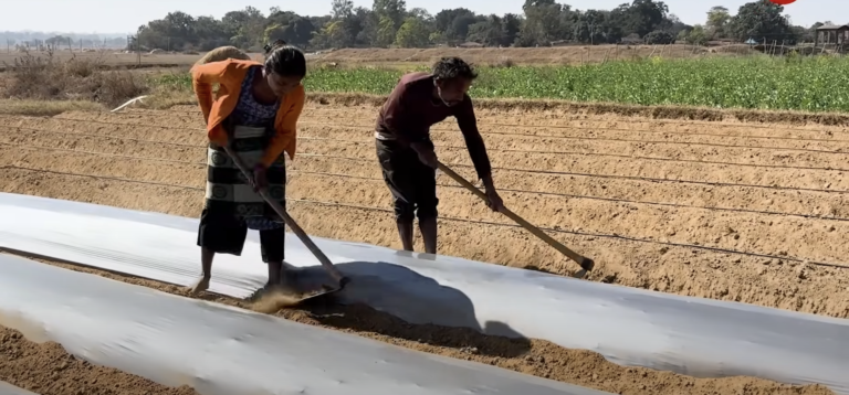 भारतीय खेती