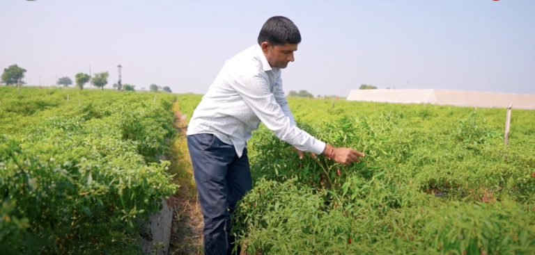 कुल 2900 जलवायु-अनुकूल उच्च उपज वाली फसलें विकसित की गई