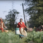 अगले दो वर्षों में भारत की कृषि विकास दर 20% तक बढ़ने का अनुमान : केंद्रीय मंत्री भारत की कृषि