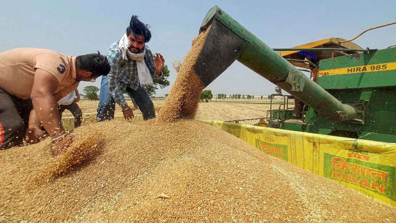 गेहूं की ख़रीद