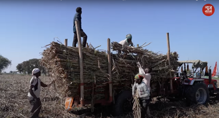 सहकारी चीनी मिलों