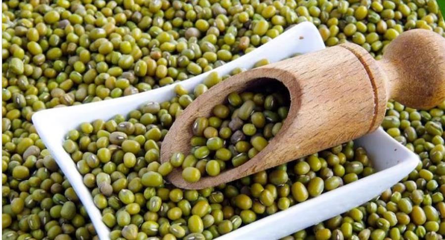  मूंगफली, मक्का, मूंग, उड़द, पपीता, लीची, तरबूज, खरबूज और आंवला 