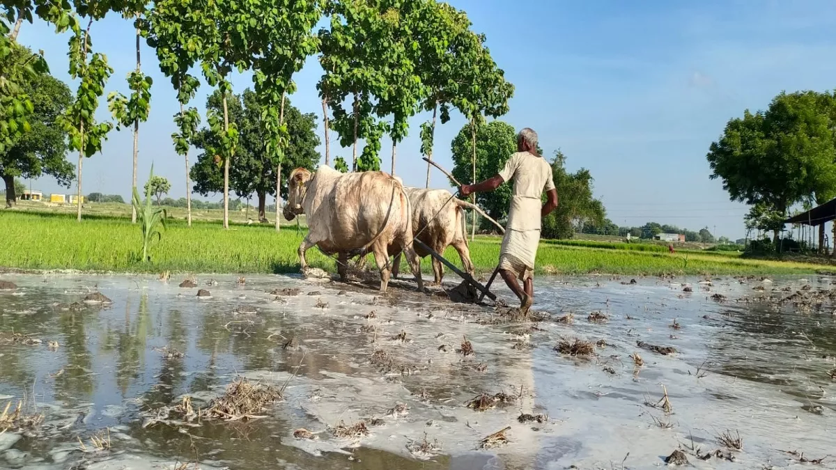 राजस्थान