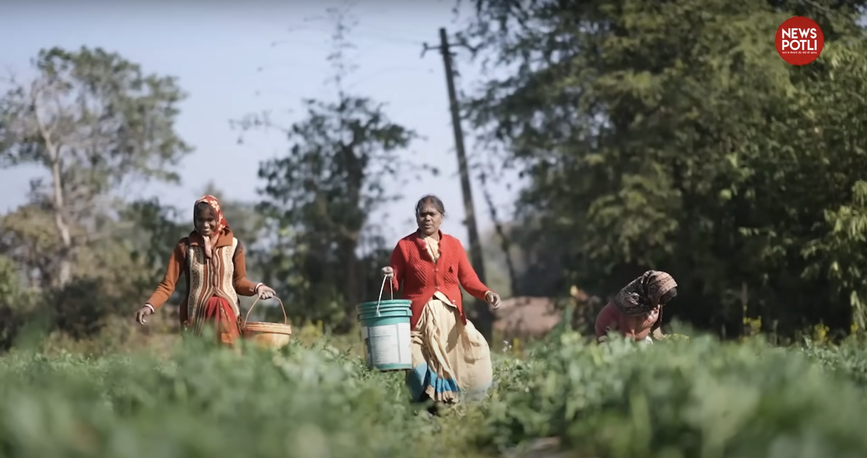 मुख्यमंत्री किसान सम्मान निधि योजना