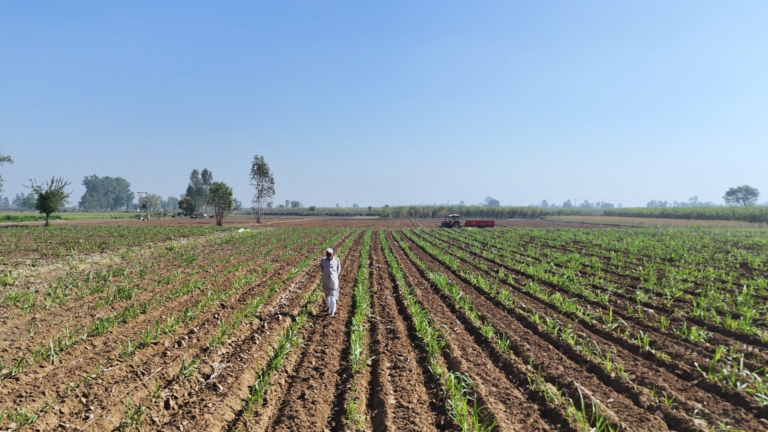 डिजिटल कृषि मिशन के तहत देशभर में किसानों का Farmer ID कार्ड बनाया जा रहा है।
