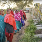 प्राकृतिक खेती