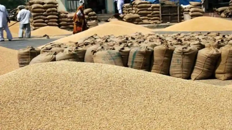 गेहूं ख़रीद - News Potli