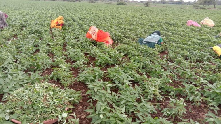 महाराष्ट्र