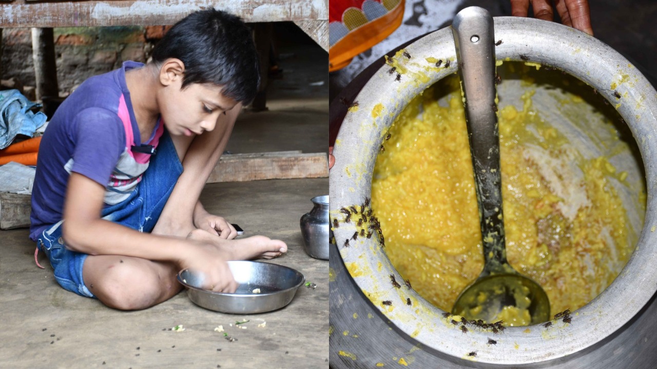मुर्गी हैचरी की गंदगी से फैली मक्खियों ने लोगों का जीवन नर्क बना दिया है।