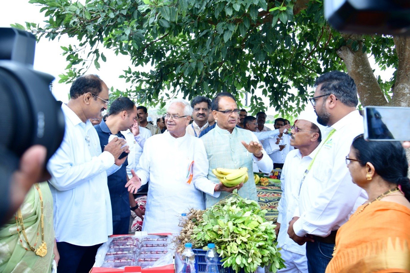 जलवायु अनुकूल नई किस्में
