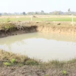 किसान अपने खेत में बना सकते हैं तालाब और संचय कर सकते हैं बारिश का पानी, यूपी सरकार दे रही है 50 फीसदी सब्सिडी उत्तर प्रदेश