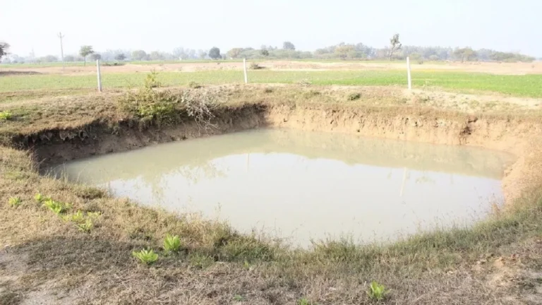 उत्तर प्रदेश