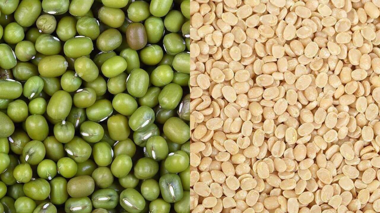 मूंग और उड़द