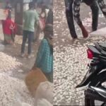 मंदसौर मंडी में एक बार फिर भारी बारिश में किसानों की उपज बर्बाद, कई क्विंटल लहसुन बह जाने की खबर मंदसौर मंडी